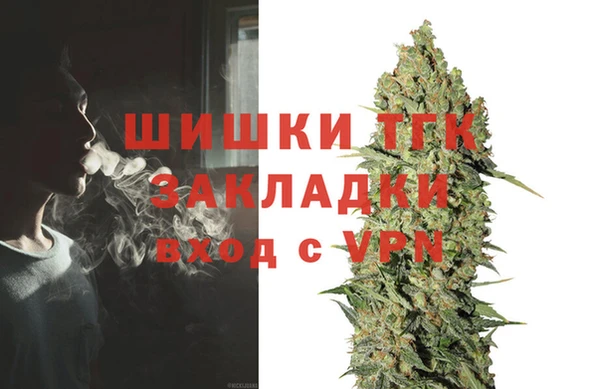ГАЛЛЮЦИНОГЕННЫЕ ГРИБЫ Абаза