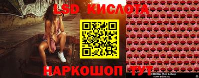 бошки Заводоуковск