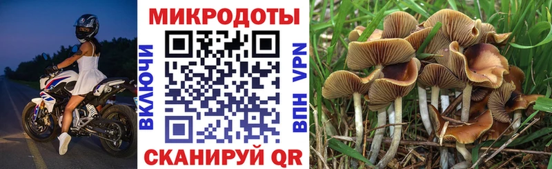 Псилоцибиновые грибы мухоморы  Тавда 